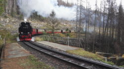 Zug der Harzer Schmalspurbahn. Foto: Sebastian Krings